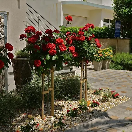 Villa Diana Zadar Apartment
